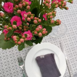 Mozarella Voksdug Gr