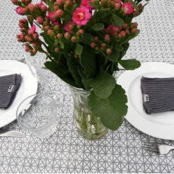 Mozarella Voksdug Gr