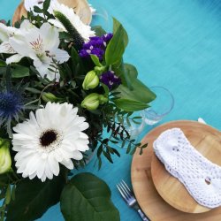 Miami aquabl voksdug