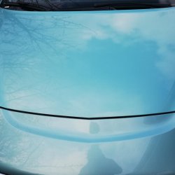 Miami aquabl voksdug