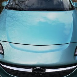 Miami aquabl voksdug