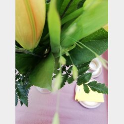 Lderlook Voksdug Brun