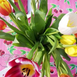 Cerezas Pink med Kirsebr