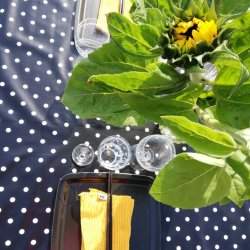 Sort voksdug med hvide prikker 