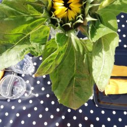 Sort voksdug med hvide prikker 