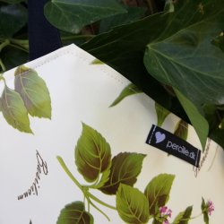 Brneforklde Voksdug Krydderurter