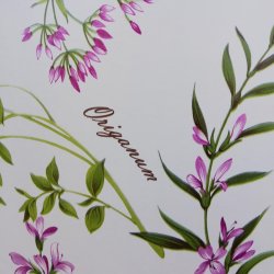 Brneforklde Voksdug Krydderurter