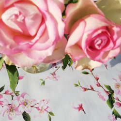 voksdugen er kotex certificaret       ceret