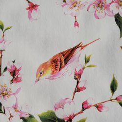 der er enkelte fine fugle p voksdugen