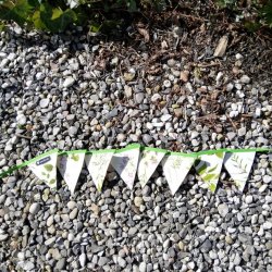 Vimpler Krydderurter