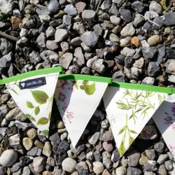 Vimpler Krydderurter