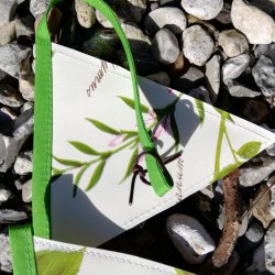 Vimpler Krydderurter