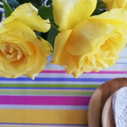 Tekstildug Striber Evelyn