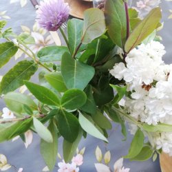 Duschet Grlilla Voksdug Mette