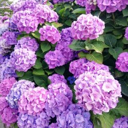 Taske Luna til Elcykelbatteri 