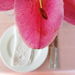 Voksdug Belle Fleur Light Rose