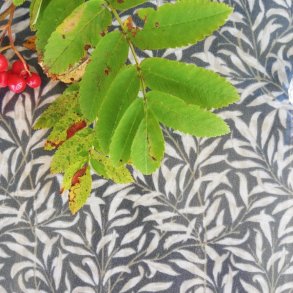 Voksdug Olivia Gr 140 cm Au Maison