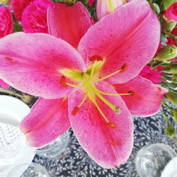 Voksdug Blue Meadow Au Maison