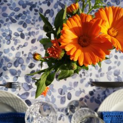 Tekstildug Eucalyptus Bl