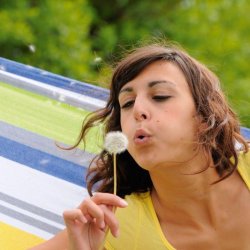 Star Set Kollibri Hngekjest