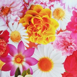 Flower Power Blomstrende Voksduge