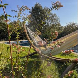 Modesta Latte kologisk Kingsize Hngekje