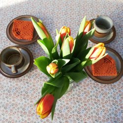 Tekstildug Orange Ottella