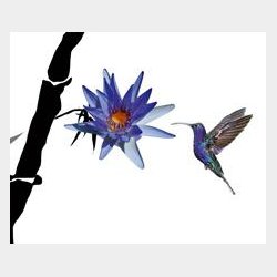 Belize Kolibri Single Hngestol