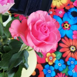  Flowerrain Sort Voksdug