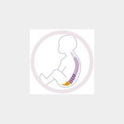 Kangoo Babyhngekje og Vugge