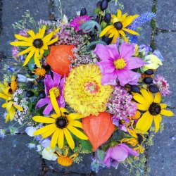 Solwang Viskestykke Stvet Pastel kologisk