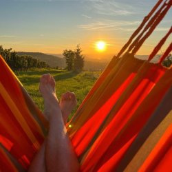 Cumbia Vandafvisende Medium Hngestol Toucan