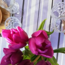 Tekstildug Lilla Stribella