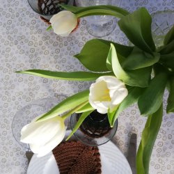 Tekstildug Cremefarvet Colletta