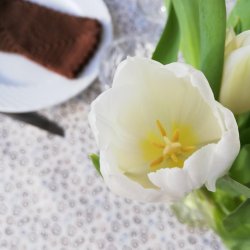 Tekstildug Bl Boletta