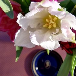 Rund Voksdug Diagonalt Orange og Lilla Strib Au Maison 140 cm