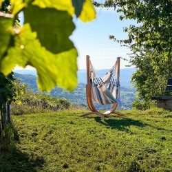 Trstativ Udine Eucalypsus til hngekjestol 