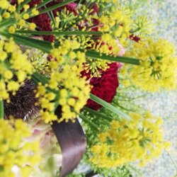 Voksdug Lemon Dusty Green Au Maison