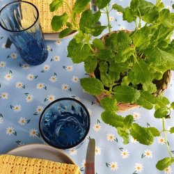 Bl Marguerit Voksdug