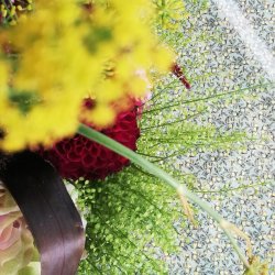 Voksdug Lemon Dusty Green Au Maison