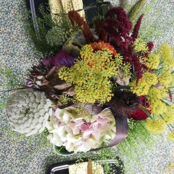 Voksdug Lemon Dusty Green Au Maison