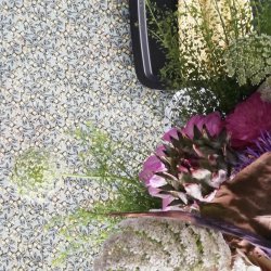 Voksdug Lemon Dusty Green Au Maison