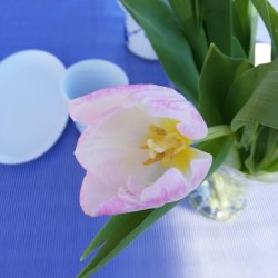 Voksdug Bl Strib 140 cm Au Maison